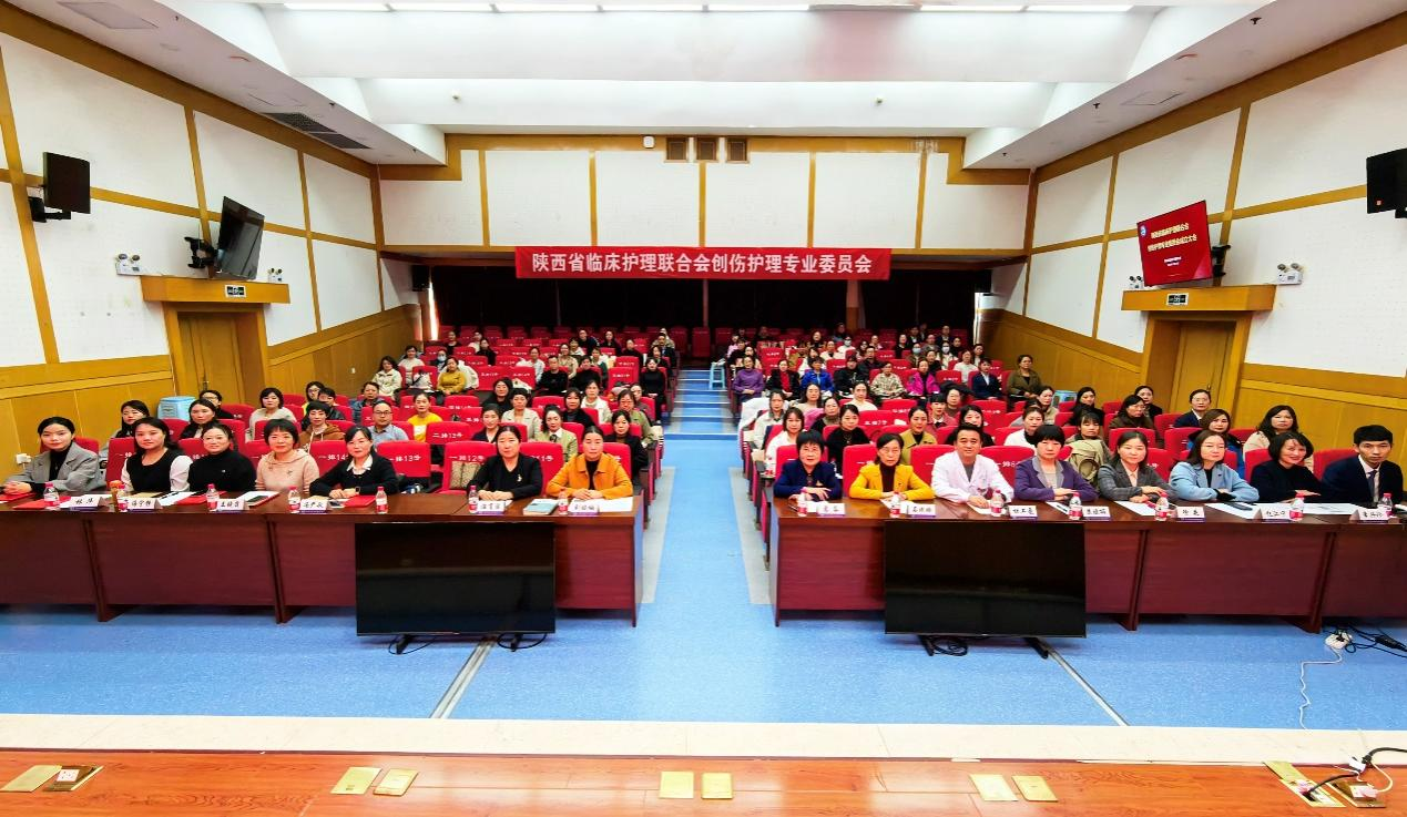图片11.png
