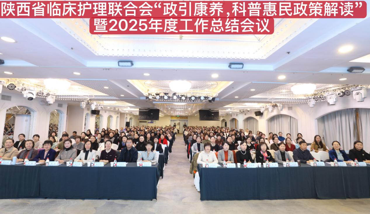 1765166615515492.png 图片1.png